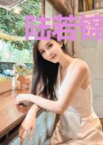 陆若锦南夜琛
