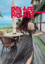 隐婚一对一:总裁别过界