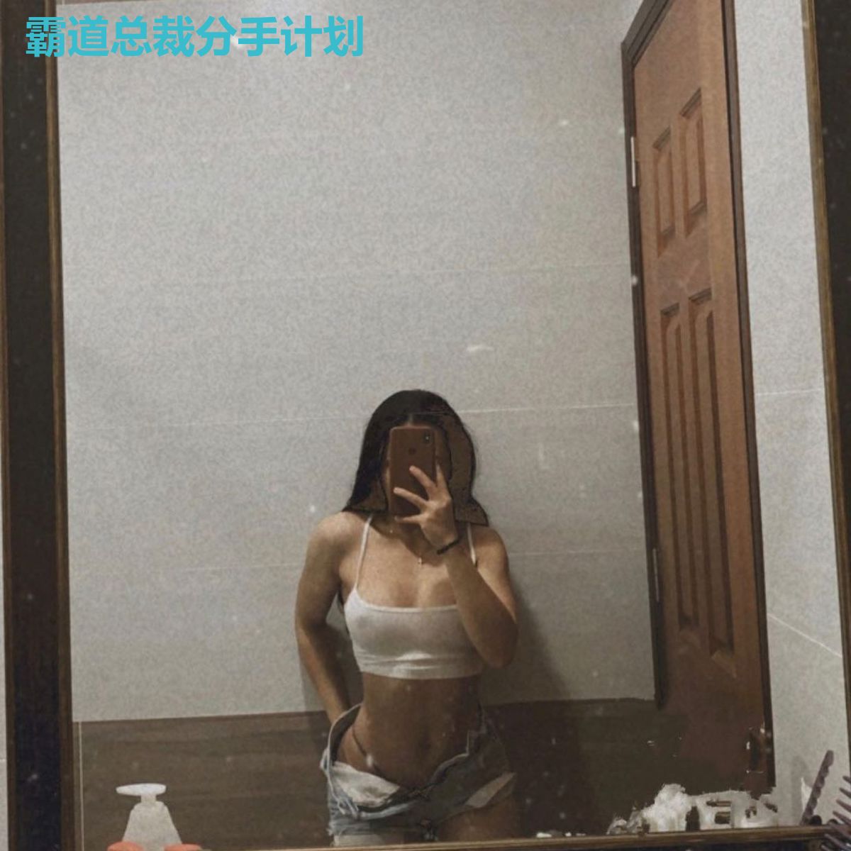 霸道总裁分手计划