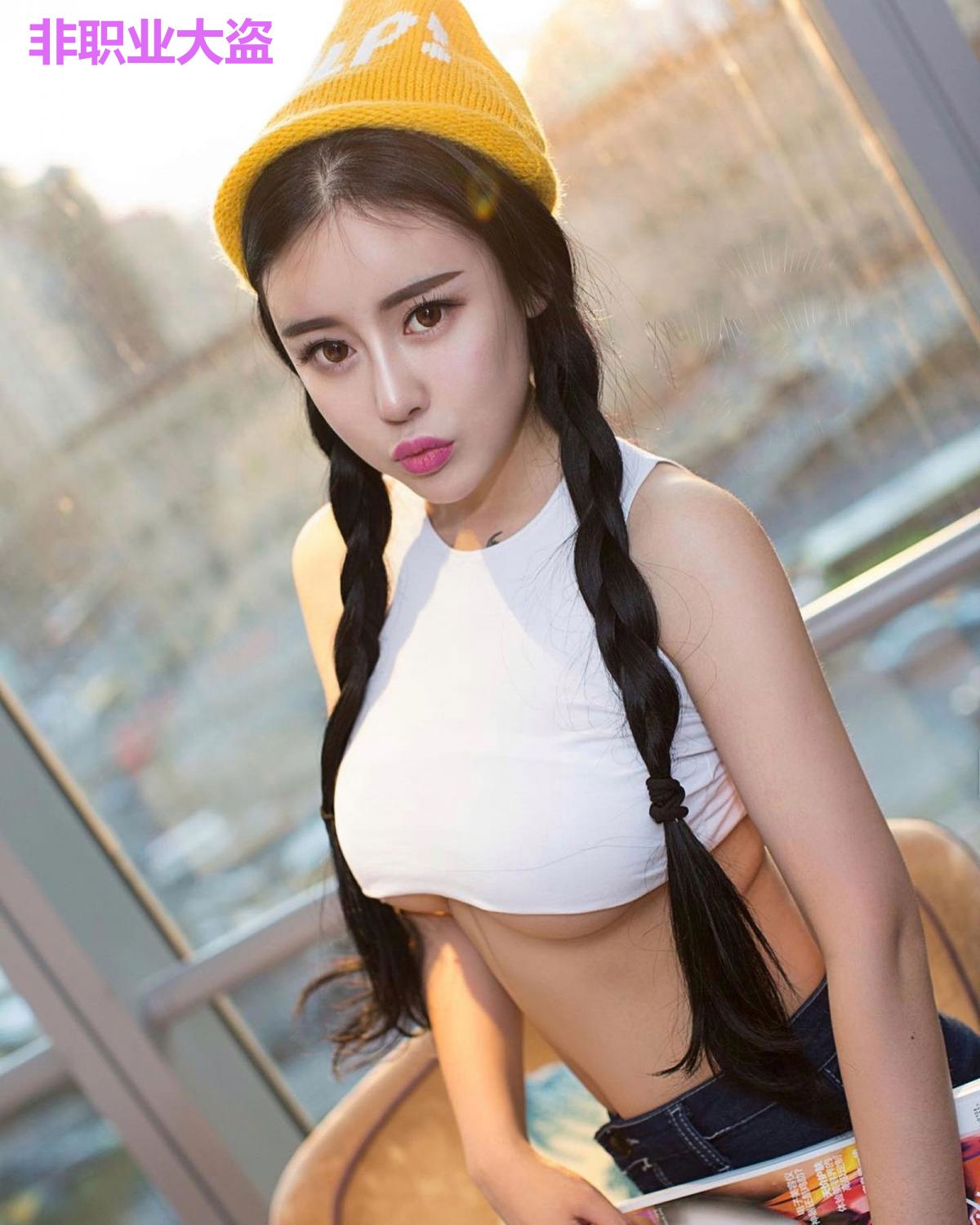 非职业大盗