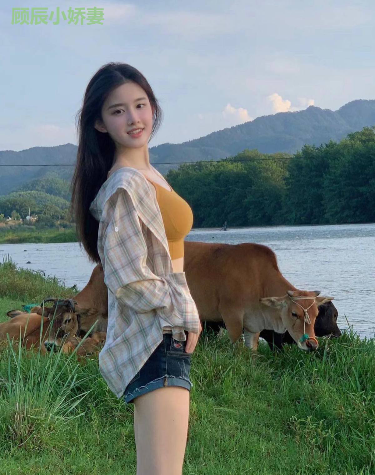 顾辰小娇妻