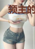 领主的装备辨识系统