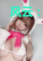 风云：精忠报国