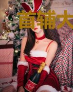 首辅大人的掌中娇