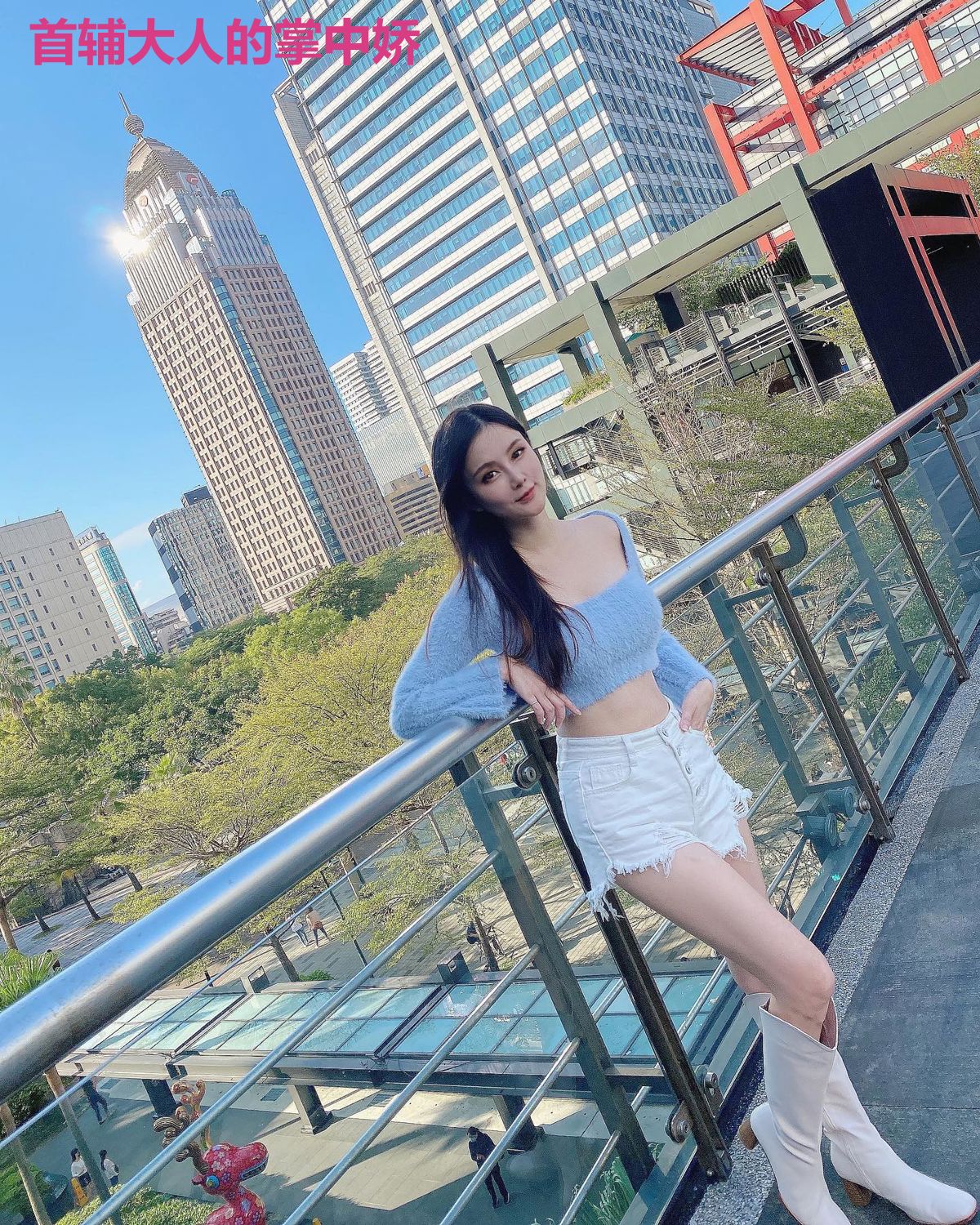 首辅大人的掌中娇