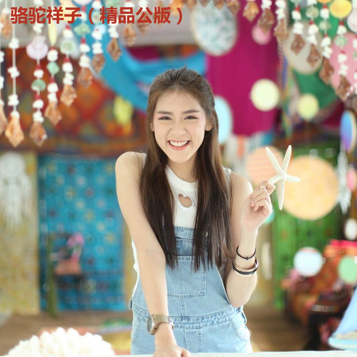 骆驼祥子（精品公版）