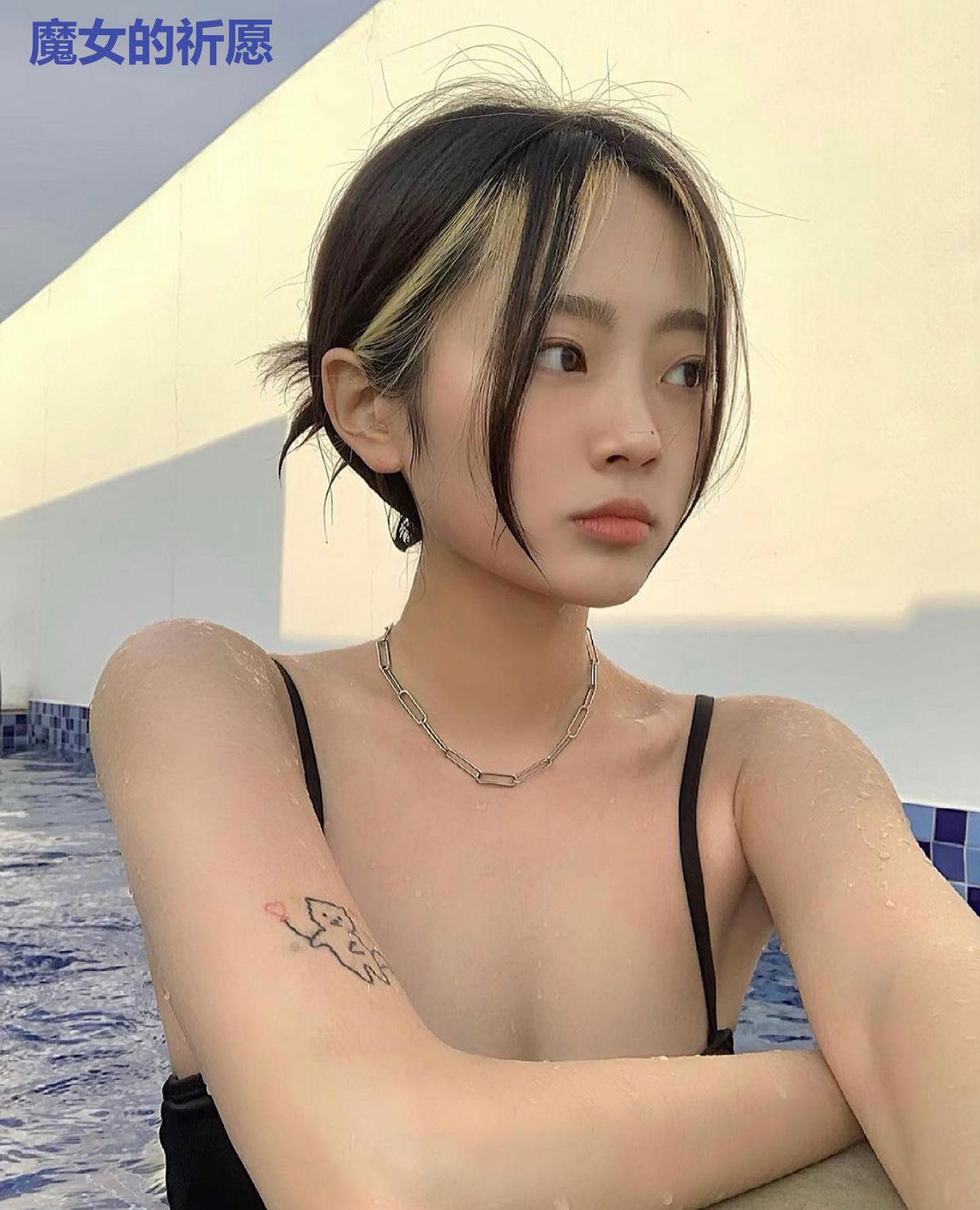 魔女的祈愿