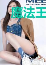 魔法王子传