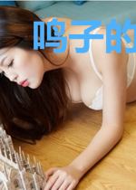 鸣子的综漫之旅