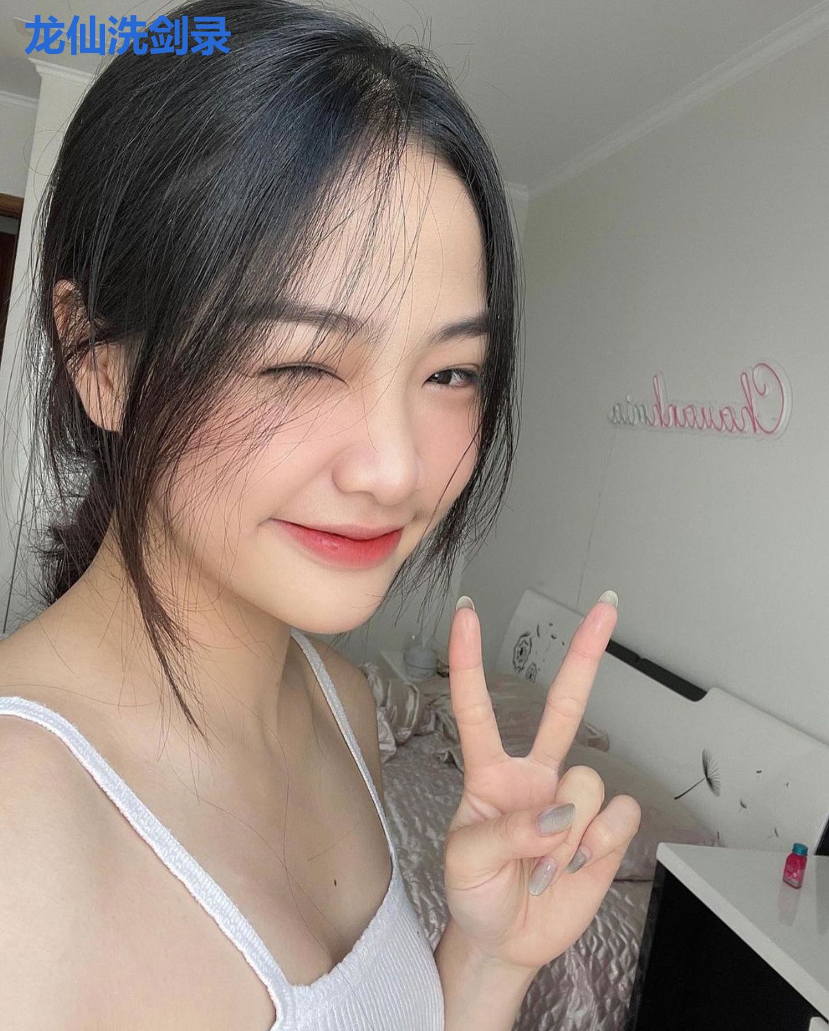 龙仙洗剑录