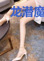 龙潜魔都叶龙