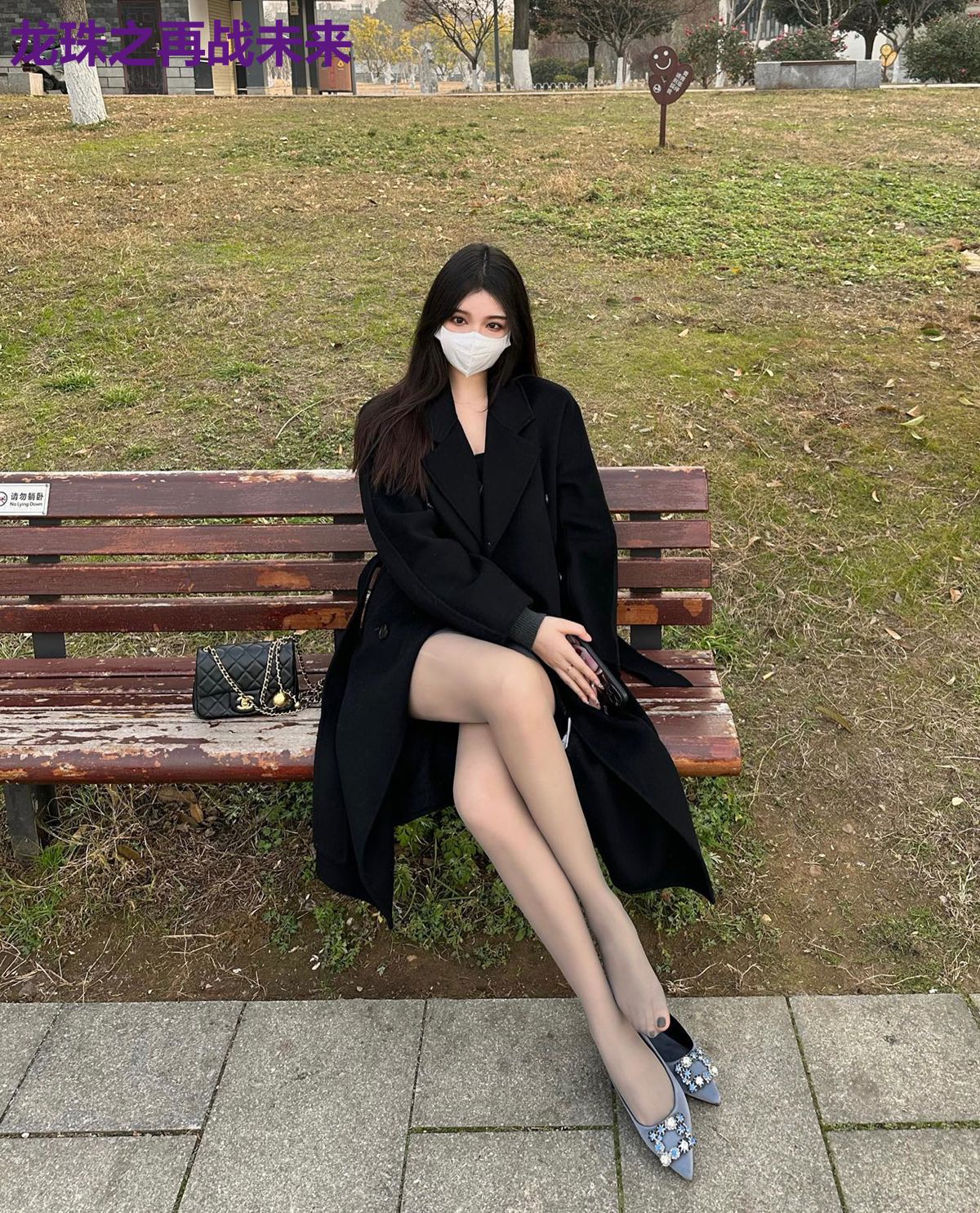 龙珠之再战未来