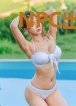 NPC出逃指南[无限]